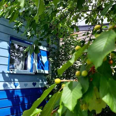 Charming Caravan Near Hamois With Garden *