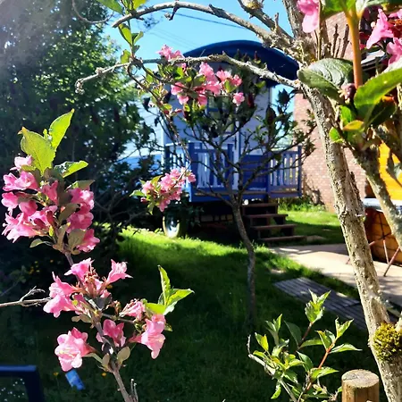 Charming Caravan Near Hamois With Garden * Scy