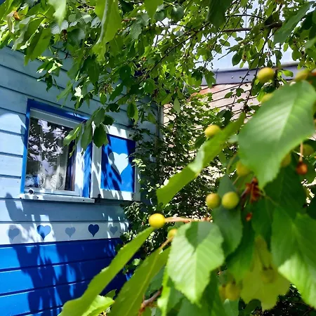 Charming Caravan Near Hamois With Garden Prázdninový dům Scy