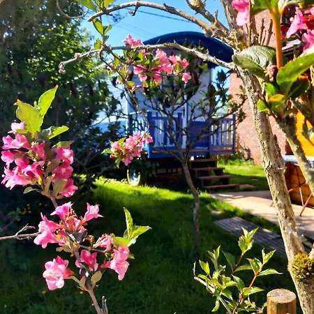 Charming Caravan Near Hamois With Garden Scy