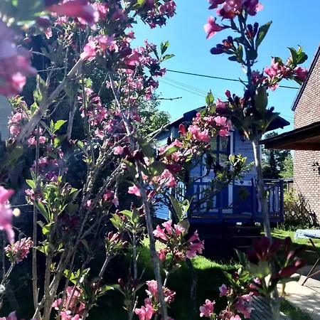 Charming Caravan Near Hamois With Garden * Scy